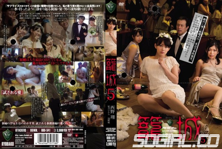 RBD-541-히노 히카리-자막