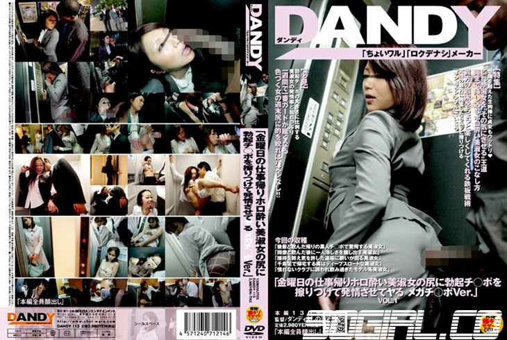 DANDY-113-아이하라 레나 SD