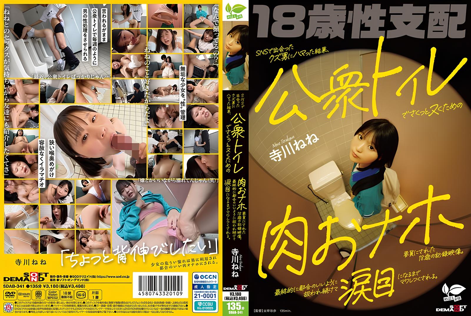 SDAB-341-테라카와 네네 HD